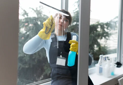 Nettoyage de vitres intérieures et extérieures à Lusignan-Petit